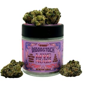 Lemon Macmellon X  Georgia Pie | Live Nugs