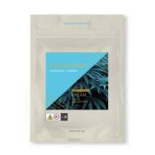 Dream | Alien Wedding