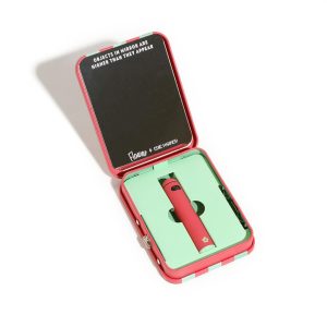 Good Afternoon | Watermelon Slushie | All-in-One